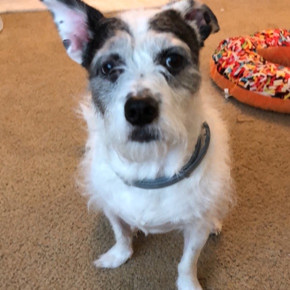 Meet your Posher, Kayla - Picture 4 of 8